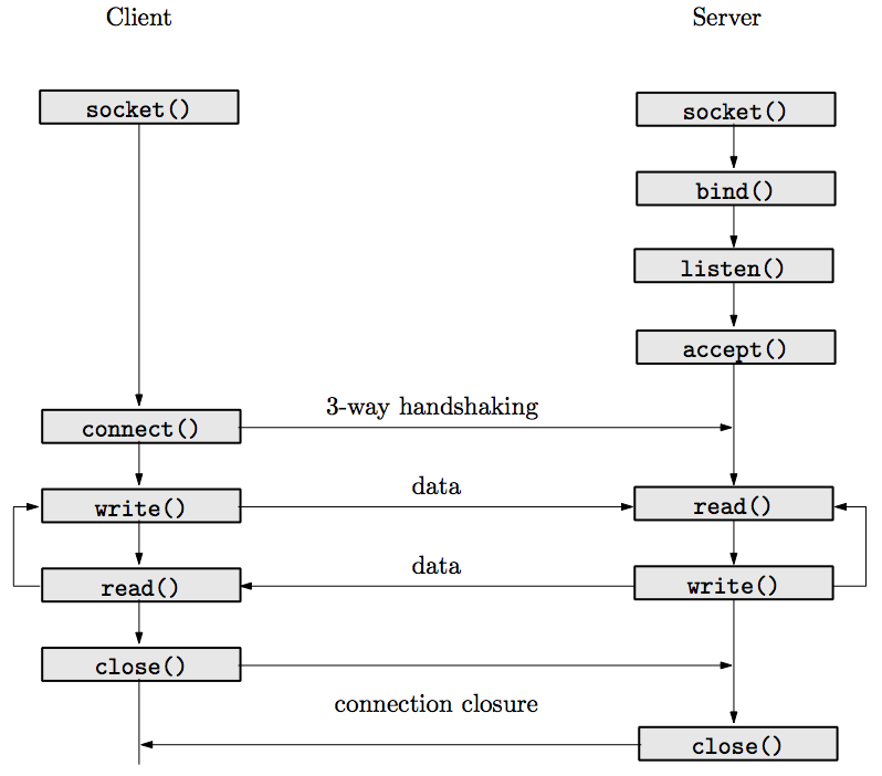 fig/sockets.png